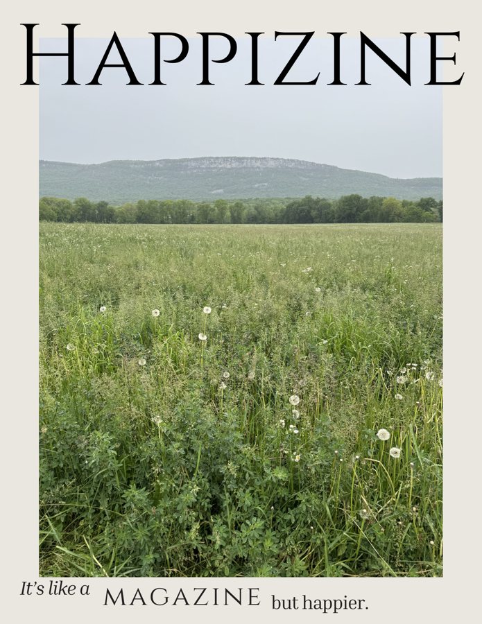 Happizine Summer cover — a dandelion meadow below the Shawangunk Ridge